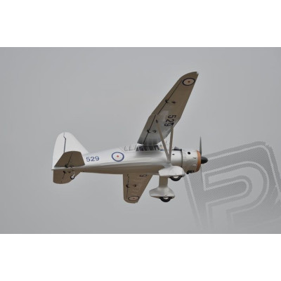 PH169 Westland Lysander 3200mm ARF