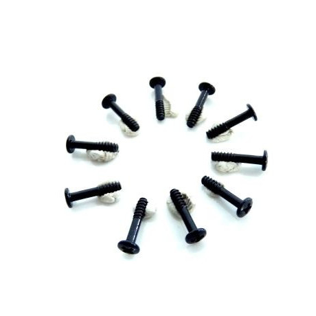 Šroub s půlkulatou hlavou 2x10 mm (10 ks)