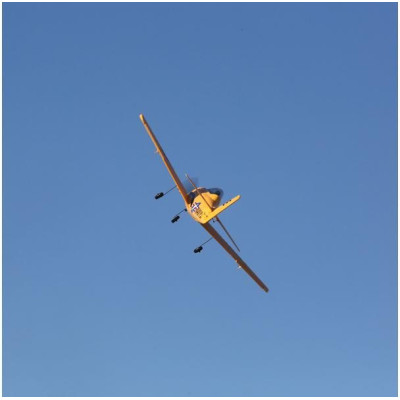 E-flite T-28 Trojan 1.1m BNF Basic