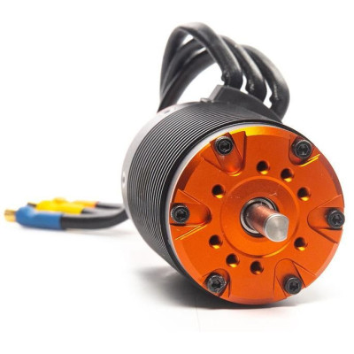 Spektrum motor střídavý Firma 5687 1100ot/V