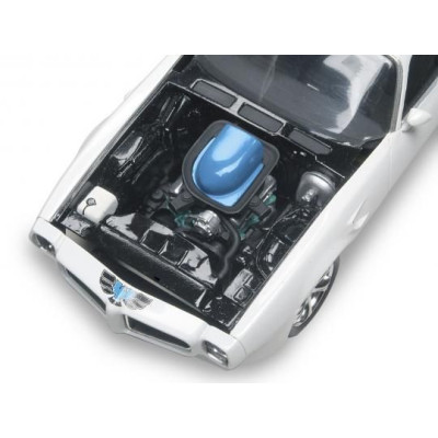 Plastic ModelKit MONOGRAM auto 4489 - 1970 Pontiac Firebird (1:24)