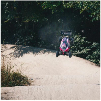 Arrma Typhon TLR Tuned 1:8 4WD Roller Buggy růžová/fialová