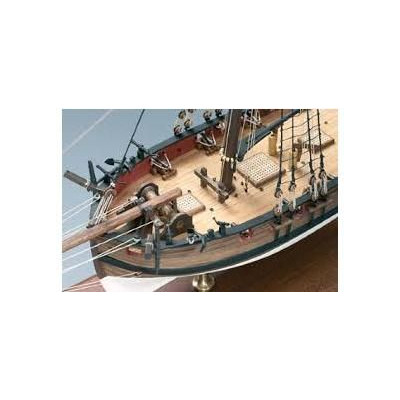 VICTORY MODELS Lady Nelson 1:64 kit