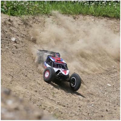 Losi Tenacity Pro 1:10 4WD RTR Fox Racing