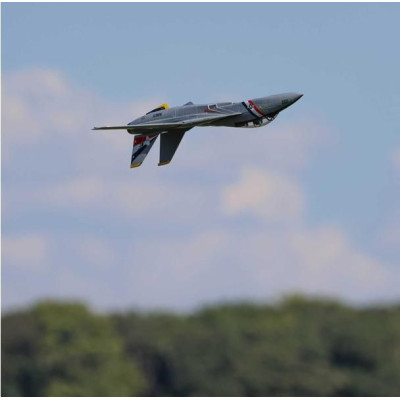 E-flite F-14 Tomcat 0.76m BNF Basic