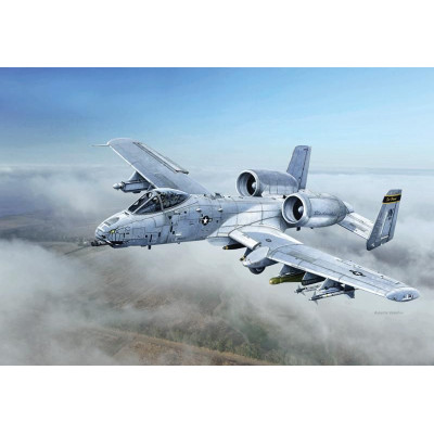 Model Kit letadlo 2725 - A-10C "Blacksnakes" (1:48)