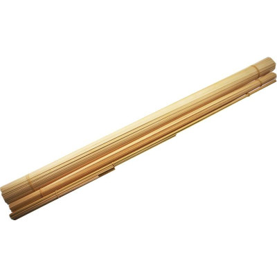 Mantua Model Anteo 1:30 kit