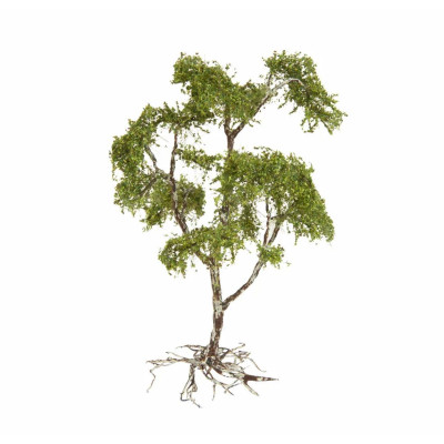 Zabudnuté miesto „Fontána“ 60760