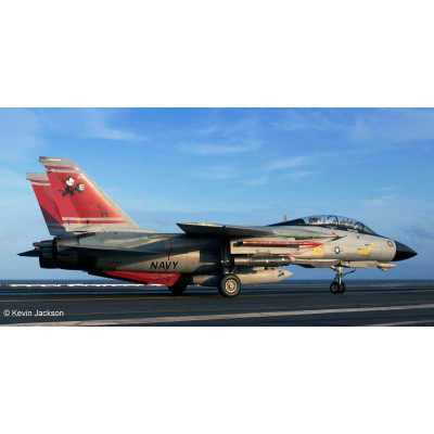 Plastic ModelKit letadlo 03960 - F-14D Super Tomcat (1:72)