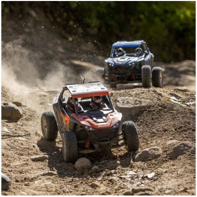 Losi RZR Rey 1:10 4WD RTR Fox