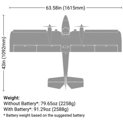 E-flite Twin Timber 1.6m PNP