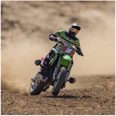 Losi Promoto-MX Motorcycle 1:4 RTR, Pro Circuit