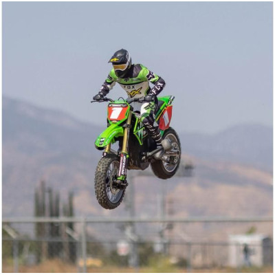 Losi Promoto-MX Motorcycle 1:4 RTR, Pro Circuit