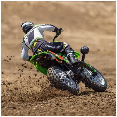Losi Promoto-MX Motorcycle 1:4 RTR, Pro Circuit
