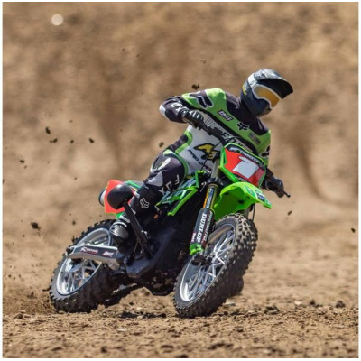 Losi Promoto-MX Motorcycle 1:4 RTR, Pro Circuit