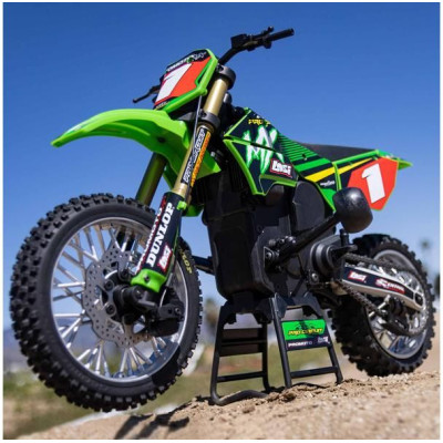 Losi Promoto-MX Motorcycle 1:4 RTR, Pro Circuit