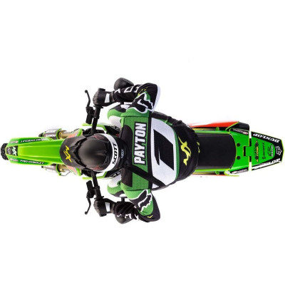Losi Promoto-MX Motorcycle 1:4 RTR, Pro Circuit