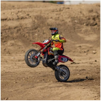 Losi Motorka Promoto-MX 1:4 RTR, FXR