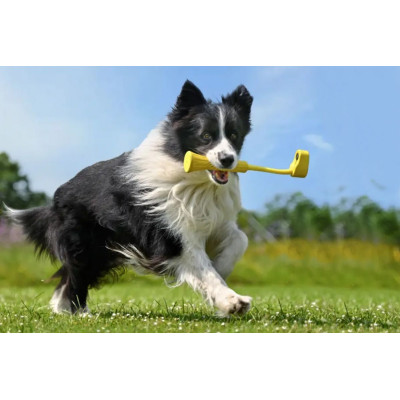 Insta360 GO3 aportovací hračka pro psy