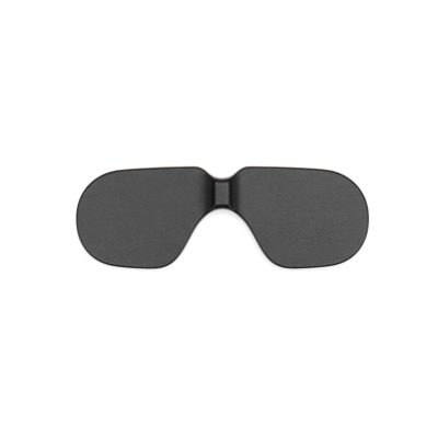 DJI Goggles 2 Motion Combo (DJI RC Motion 2)