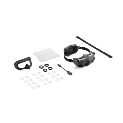 DJI Goggles Integra Motion Combo