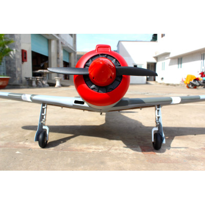 YAK-3U Steadfast 20cc Gas ARF