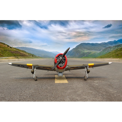 P-47D Little Bunny MKII 8-10cc Gas ARF