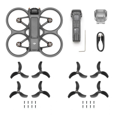 DJI Avata 2 (Drone Only)