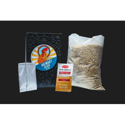 MINIBREW Recept Hainaut Saison