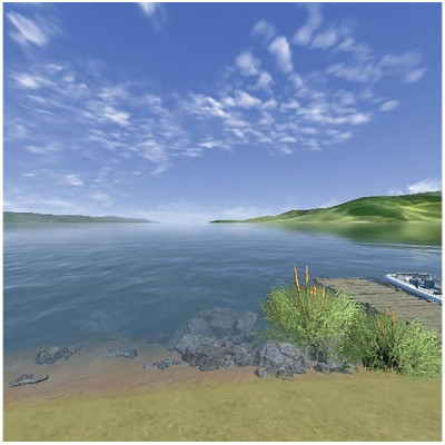 RealFlight Trainer Edition RC letecký simulátor, WS2000 bezdrátové USB rozhraní