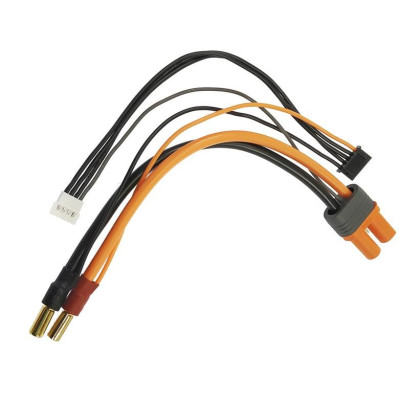 Spektrum konverzní kabel IC5 baterie - 5mm samec zlacený 15cm