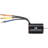 Spectrum kefe nélküli motor Firma 2436 4500ot/V 4P Mini, tengelyátmérő 2mm, RC autó modellekhez 1:16 - 1:18, 2-3S LiPo tápegységgel. Ajánlott vezérlő Company 30A. Méretek ø24x35mm, súly 61g. 