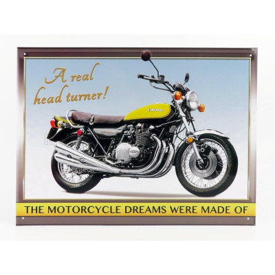 EDICOLA ACCESSORIES METAL PLATE - KAWASAKI A REAL HEAD TURNER - VARIOUS 1/1