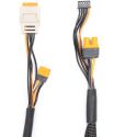 Spektrum Charge Lead with Balance Extension 24" IC2, 2-4S