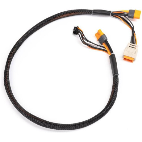 Spektrum Charge Lead with Balance Extension 24" IC3, 2-6S