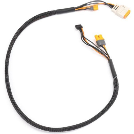 Spektrum Charge Lead with Balance Extension 24" IC5, 2-6S