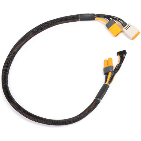 Spektrum Charge Lead with Balance Extension 24" IC5, 2-4S