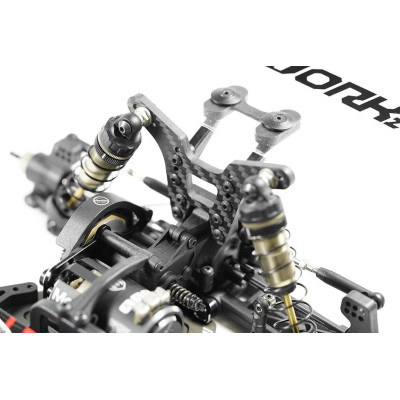 SWORKz S12-2C EVO LIMITED "Carpet Edition" 1/10 2WD Off Road Racing Buggy Pro stavebnice