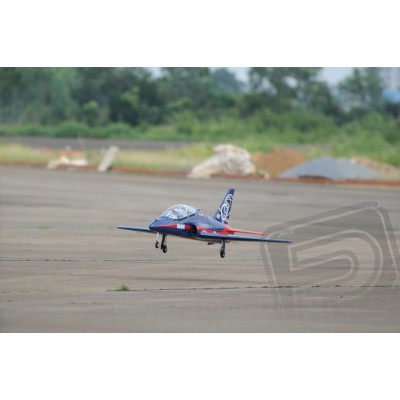 JDF02 Sea Hawk 1600mm 1:6,25 EDF120mm