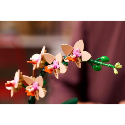 LEGO Botanicals - Miniaturní orchidej
