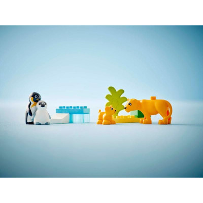 LEGO DUPLO - Rodinky divokých zvířat: Tučňáci a lvi