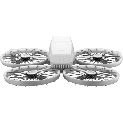 DJI Flip Fly More Combo (DJI RC 2)