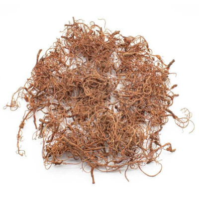 Dioráma fa gyökerei