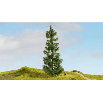 NOCH Lucfenyő / Lucfenyő 19cm