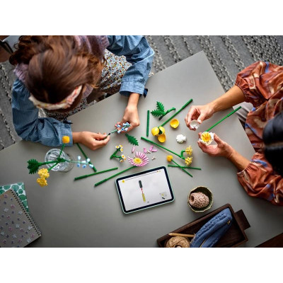 LEGO Botanicals - Drobná slunečná kytice