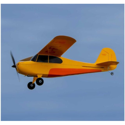 Hobbyzone Champ Anniversary Special Edition 515mm SAFE BNF Basic