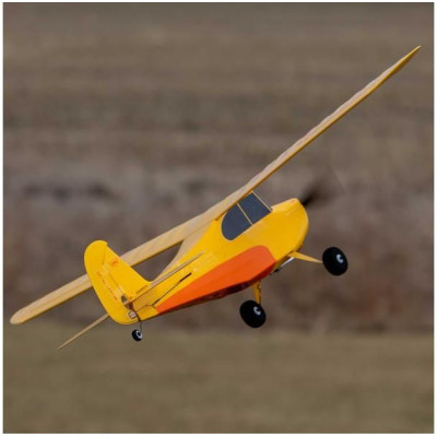 Hobbyzone Champ Anniversary Special Edition 515mm SAFE BNF Basic