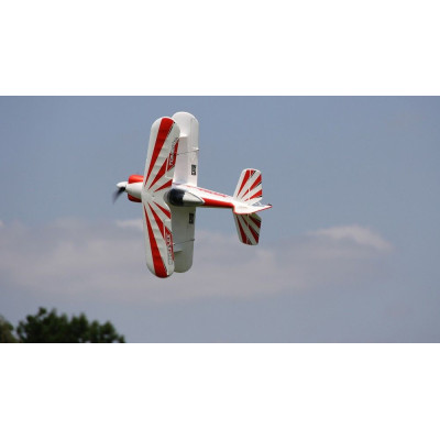 Multiplex RR Tommy jr.