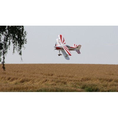 Multiplex RR Tommy jr.