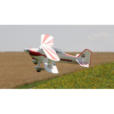 Multiplex RR Tommy jr.